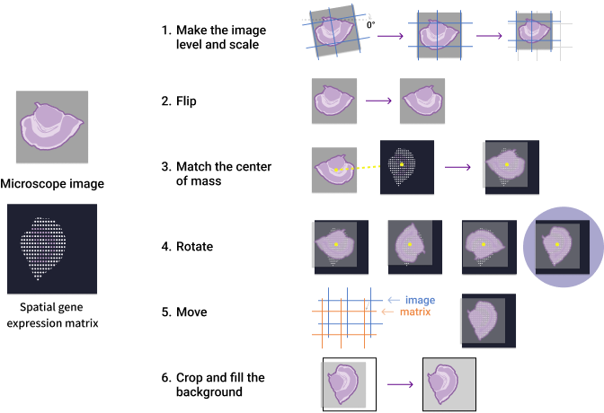 Figure 3 Automatic image registration process in SAW